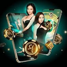 bb22